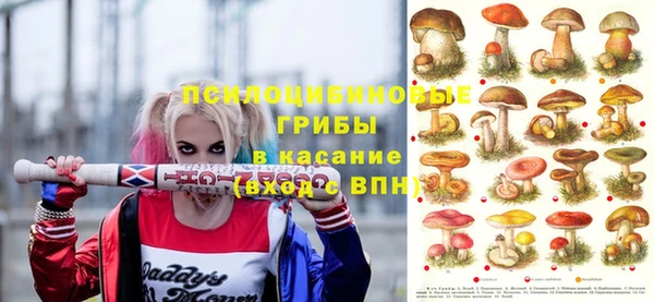 ПСИЛОЦИБИНОВЫЕ ГРИБЫ Алексин